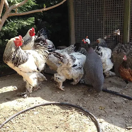 Naturalife Farm *