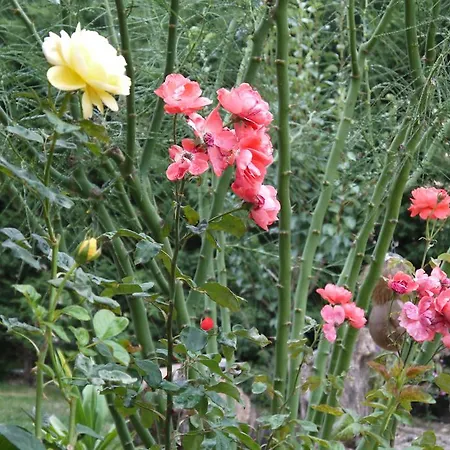 Naturalife Farm