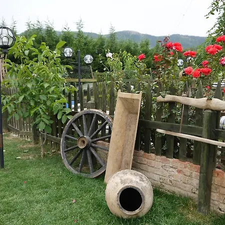Farm stay Naturalife Farm Belevi