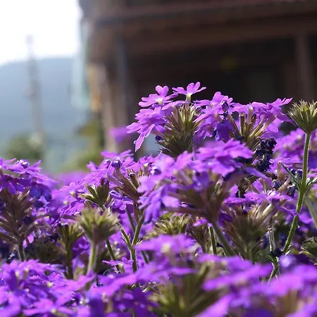 Farm stay Naturalife Farm Belevi