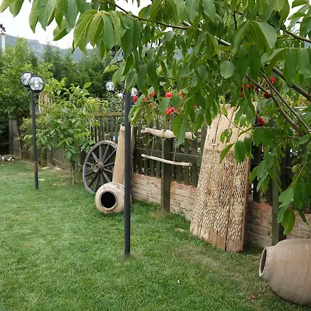 Farm stay Naturalife Farm *